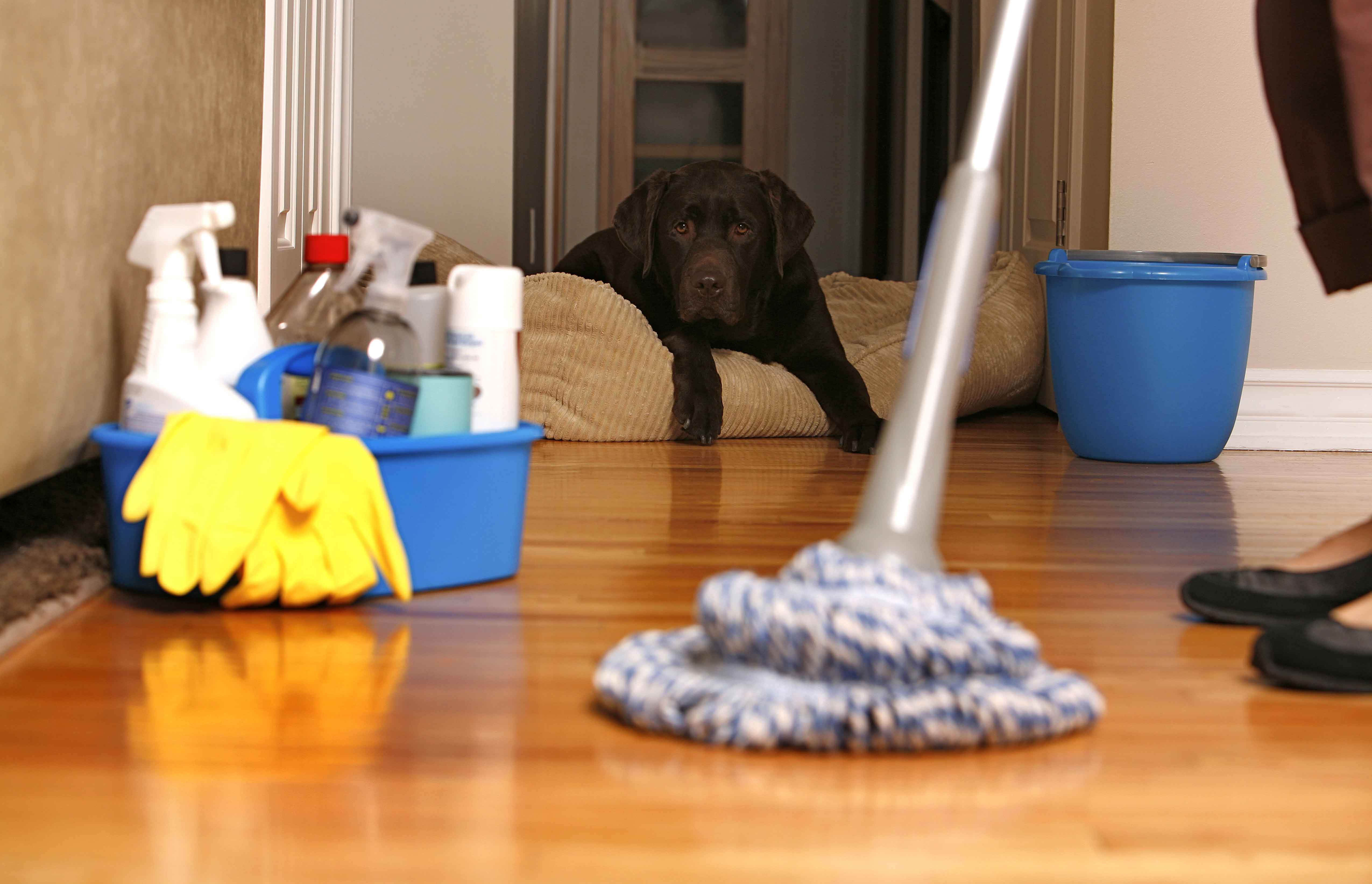 house_cleaning-1